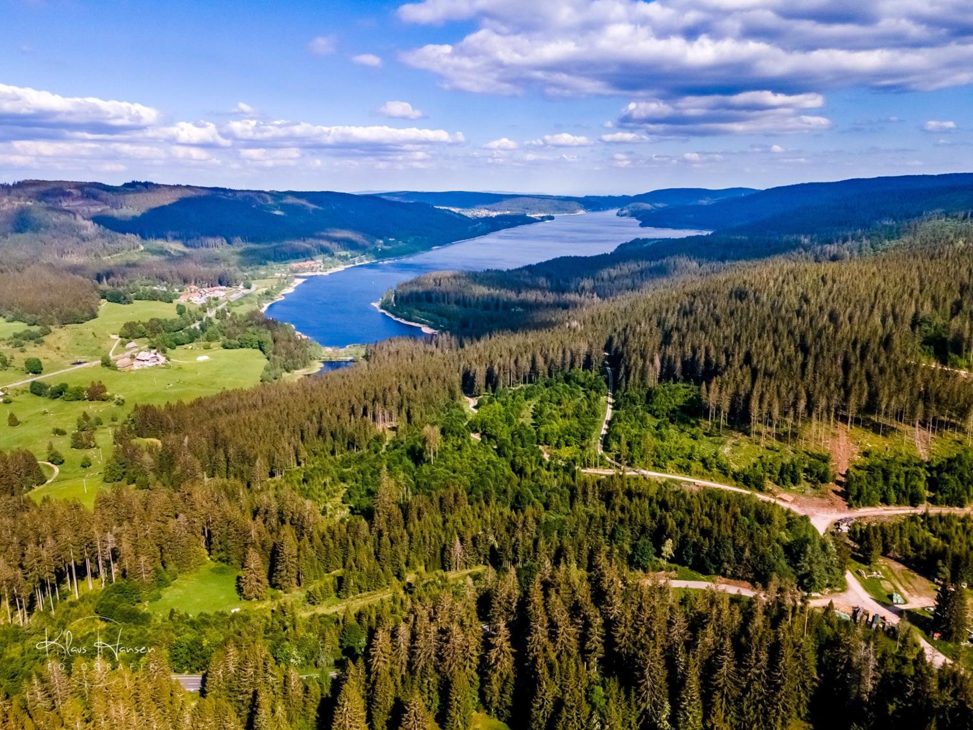 Schwarzwaldhorst 1 Fuer 8 Gaeste In Todtnau, Liftverbund Feldberg Buitenkant foto